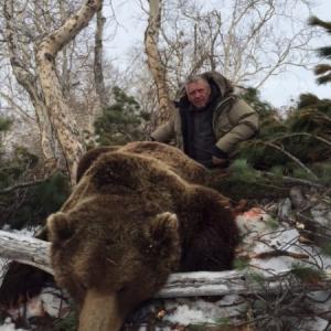 CHASSE DE L’OURS BRUN GÉANT 
