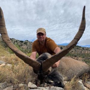 CHASSE DU BOUQUETIN D’ESPAGNE : IBEX BECEITE