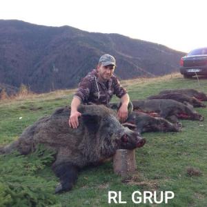  BATTUE DE SANGLIER ATTILA 