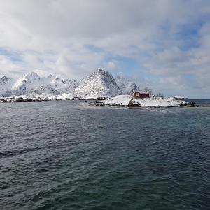 Norvège - Territoire des phoques