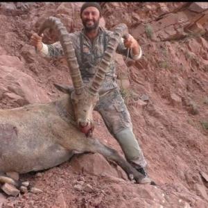 IBEX 