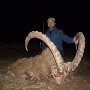 Tadjikistan - Ibex