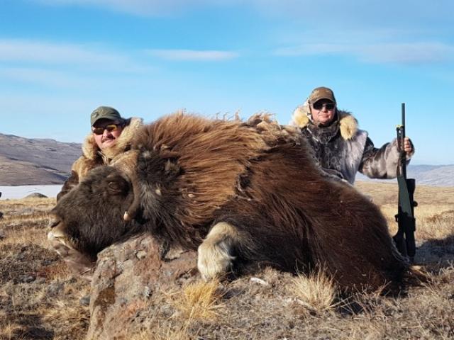 Chasse gros gibiers
