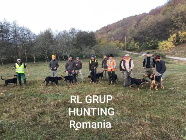 Chasse gros gibiers