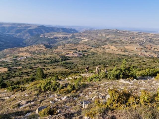 RETOUR À LA QUÊTE DU GRAND BROCARD EN ESPAGNE