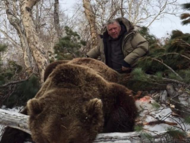 CHASSE DE L’OURS BRUN GÉANT 