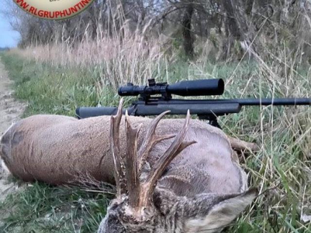 Chasse petit gibiers