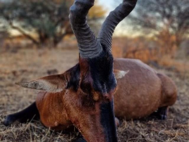 RETOUR DE NAMIBIE