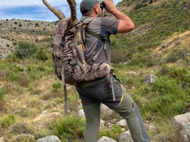 Espagne - Bouquetin Ibex Beceite
