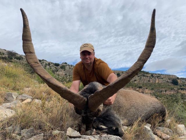 CHASSE DU BOUQUETIN D’ESPAGNE : IBEX BECEITE