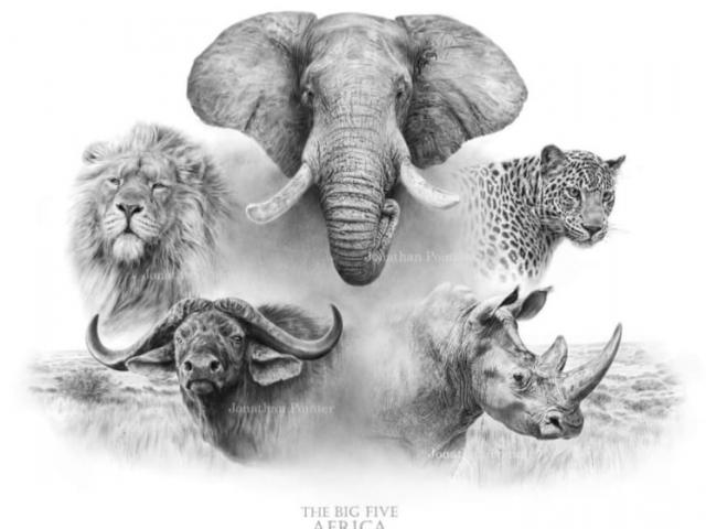 CHASSE À L’APPROCHE : SAFARI GRANDE CHASSE 