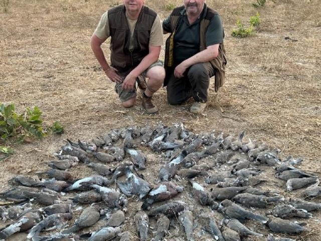CHASSE 