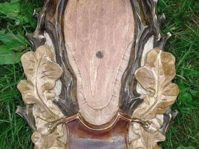 PLAQUE BOIS POUR TROPHÉE