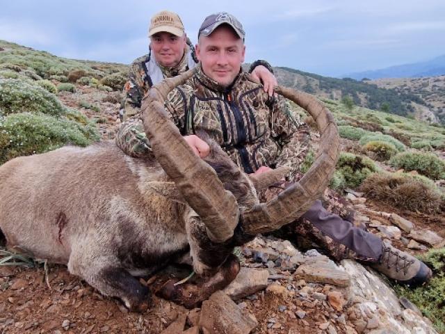 Espagne - Bouquetin Ibérique Ibex Sierra Nevada 