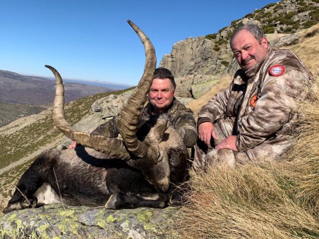CHASSE DES BOUQUETINS IBERIQUES : IBEX DE GREDOS 