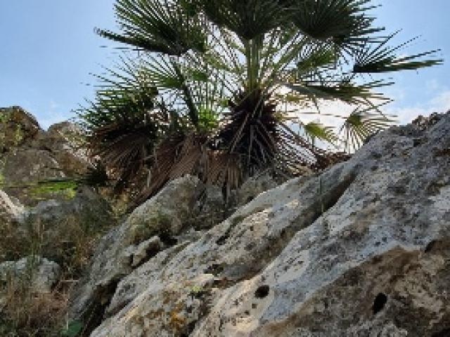 Espagne - Arrui