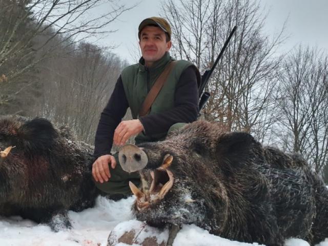 BATTUE DE SANGLIER EN TERRITOIRE DE MONTAGNE 