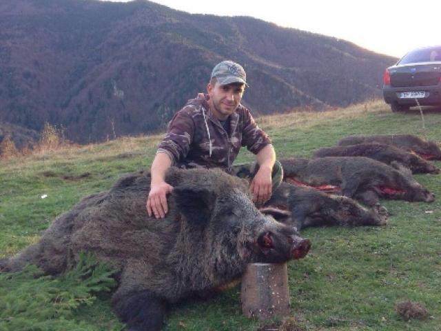  BATTUE DE SANGLIER ATTILA 