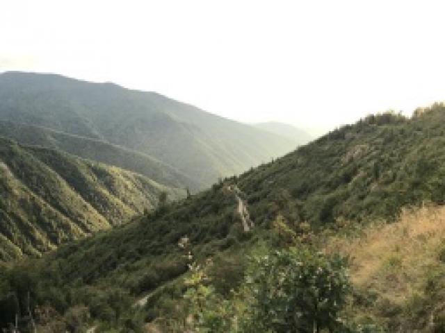 Roumanie - Battue Attila Montagne 