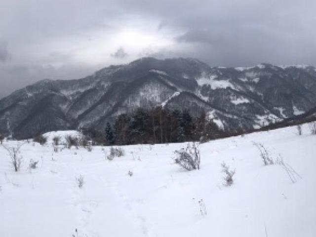 BATTUE DE SANGLIER EN TERRITOIRE DE MONTAGNE 