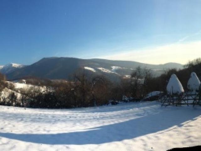 Roumanie - Battue Attila Montagne 