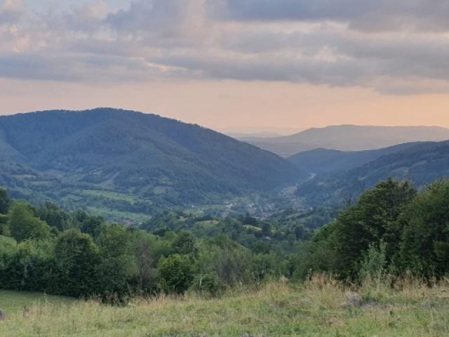 Roumanie - Brocard