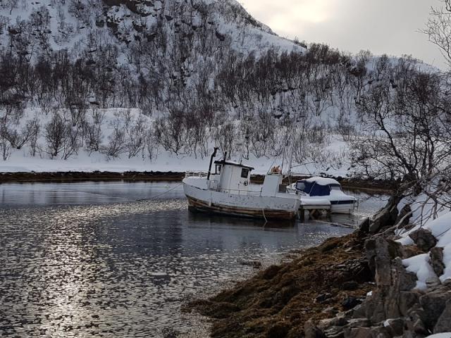 Norvège - Territoire des phoques