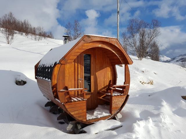 Norvège - Territoire des phoques