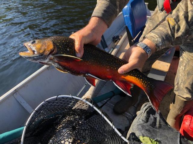 Canada - Pêche au Labrador