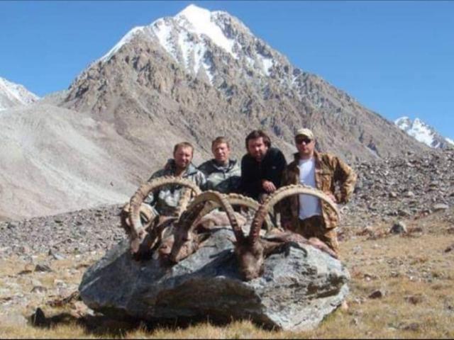 Tadjikistan - Ibex