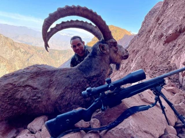 Tadjikistan - Ibex