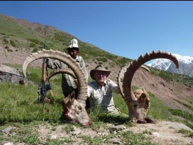 Tadjikistan - Ibex