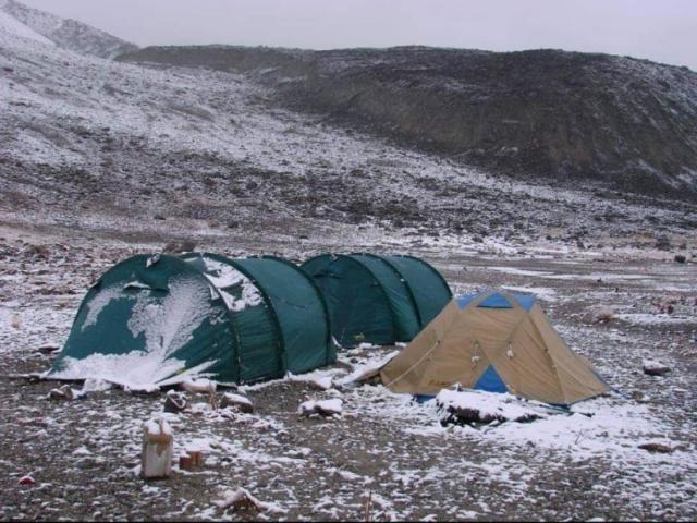 Tadjikistan - Ibex