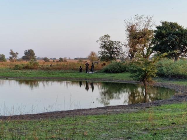 Sénégal - Petits gibiers